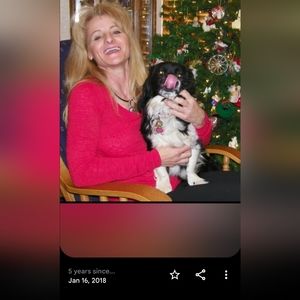 Meet your Posher, Cj carla